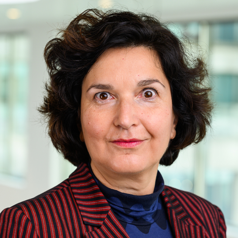 photograph of Antoaneta L. Dimitrova